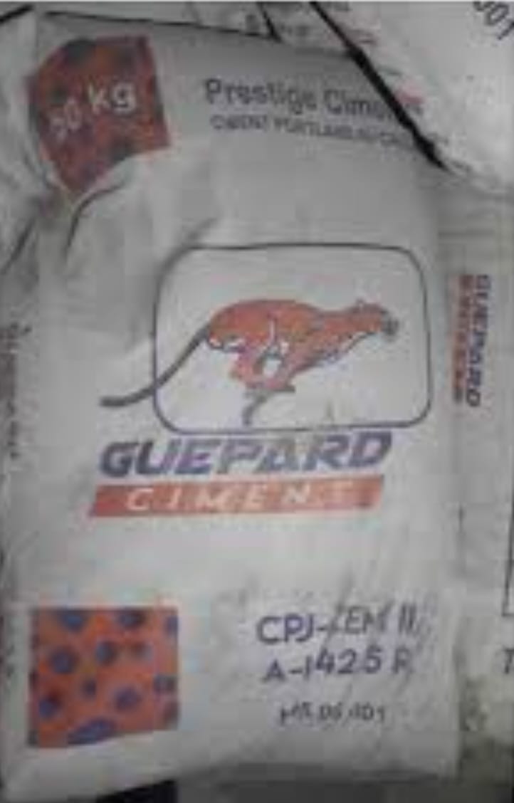 Ciment Guepard